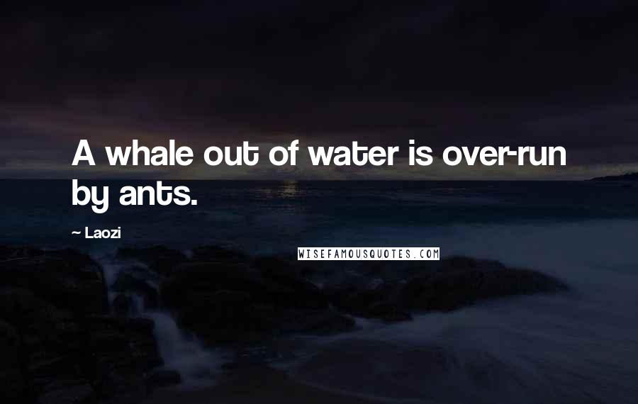 Laozi Quotes: A whale out of water is over-run by ants.