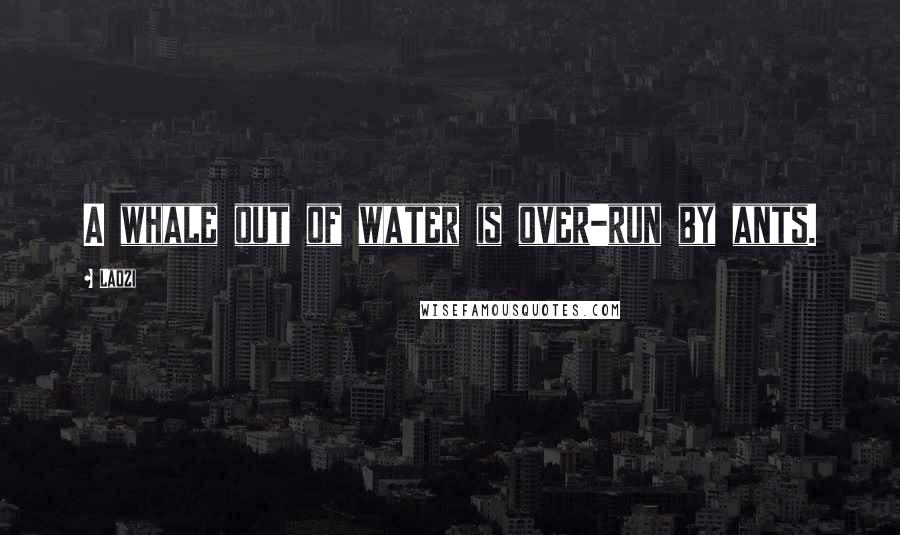 Laozi Quotes: A whale out of water is over-run by ants.