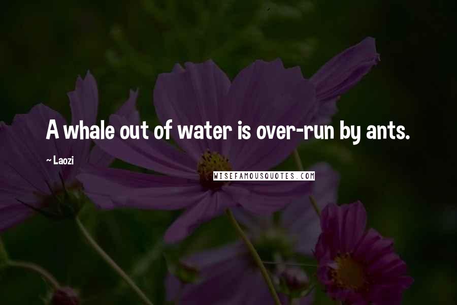 Laozi Quotes: A whale out of water is over-run by ants.