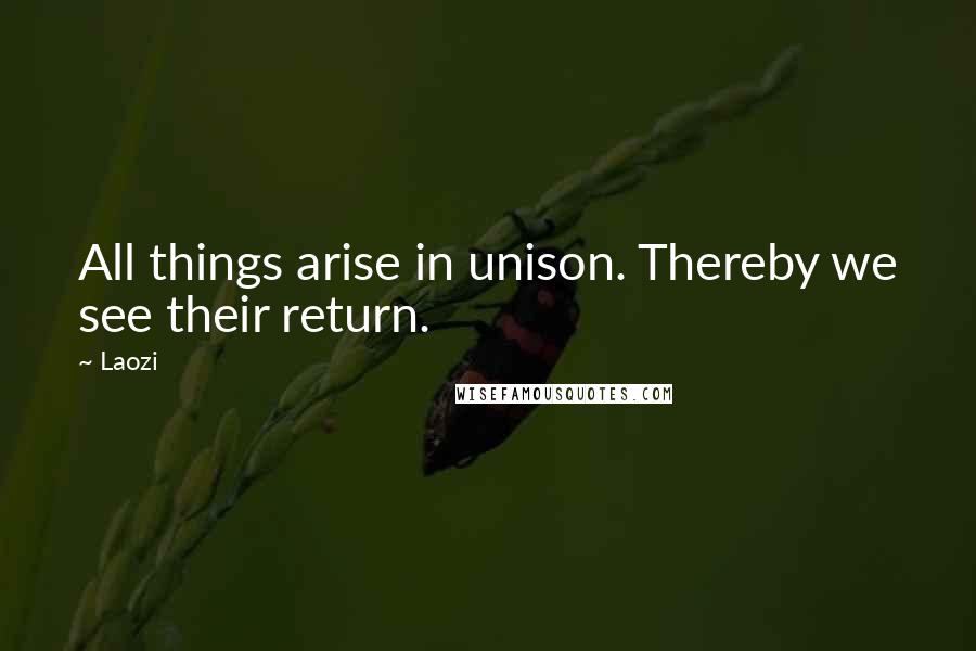 Laozi Quotes: All things arise in unison. Thereby we see their return.
