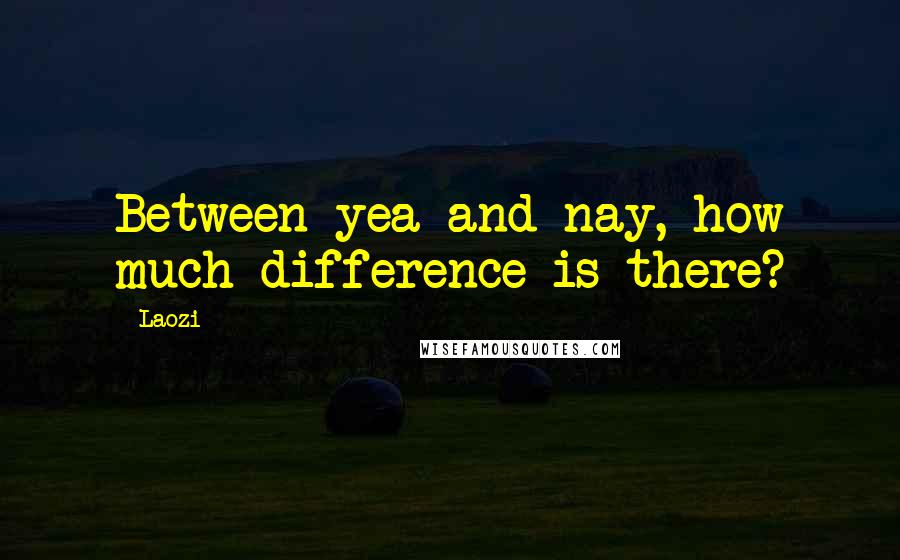 Laozi Quotes: Between yea and nay, how much difference is there?
