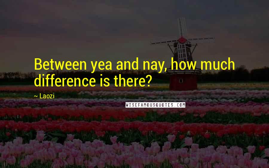 Laozi Quotes: Between yea and nay, how much difference is there?