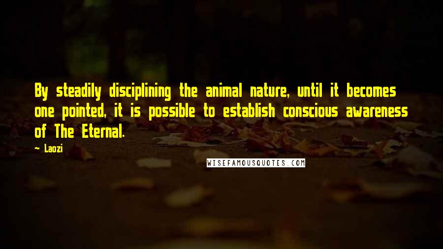 Laozi Quotes: By steadily disciplining the animal nature, until it becomes one pointed, it is possible to establish conscious awareness of The Eternal.