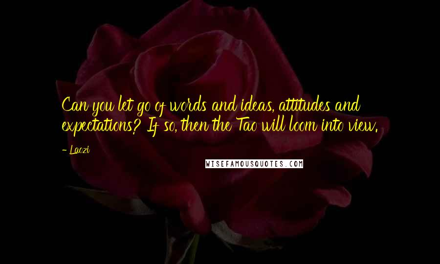 Laozi Quotes: Can you let go of words and ideas, attitudes and expectations? If so, then the Tao will loom into view.