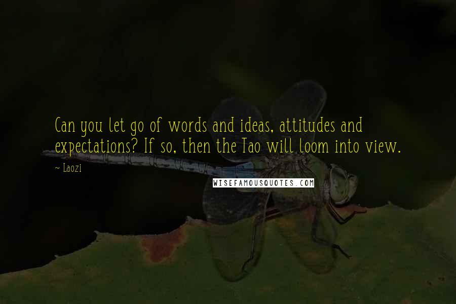 Laozi Quotes: Can you let go of words and ideas, attitudes and expectations? If so, then the Tao will loom into view.