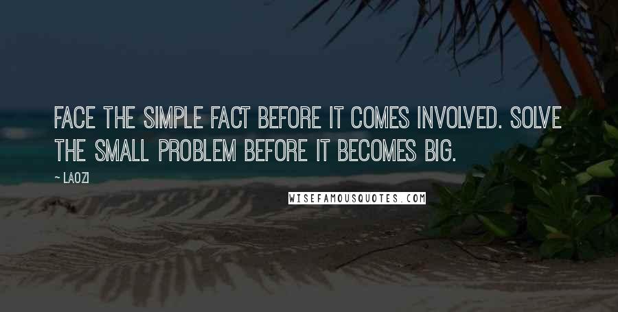 Laozi Quotes: Face the simple fact before it comes involved. Solve the small problem before it becomes big.