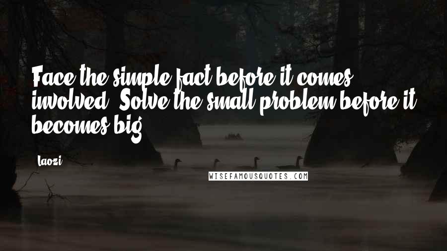 Laozi Quotes: Face the simple fact before it comes involved. Solve the small problem before it becomes big.