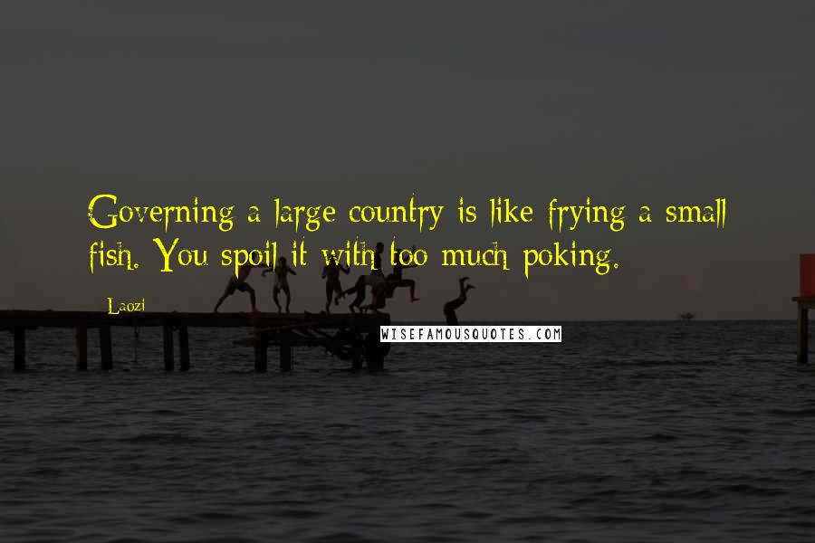 Laozi Quotes: Governing a large country is like frying a small fish. You spoil it with too much poking.