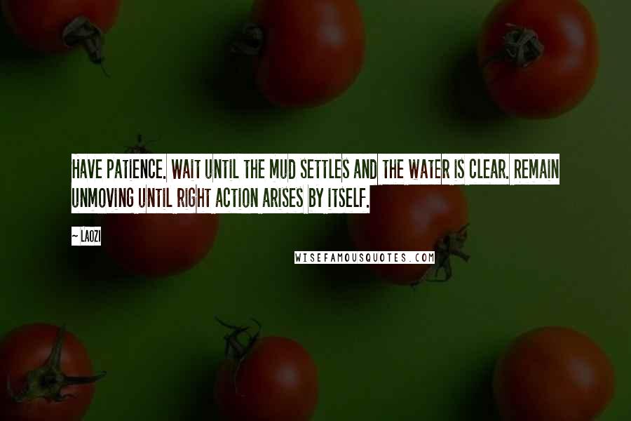 Laozi Quotes: Have patience. Wait until the mud settles and the water is clear. Remain unmoving until right action arises by itself.