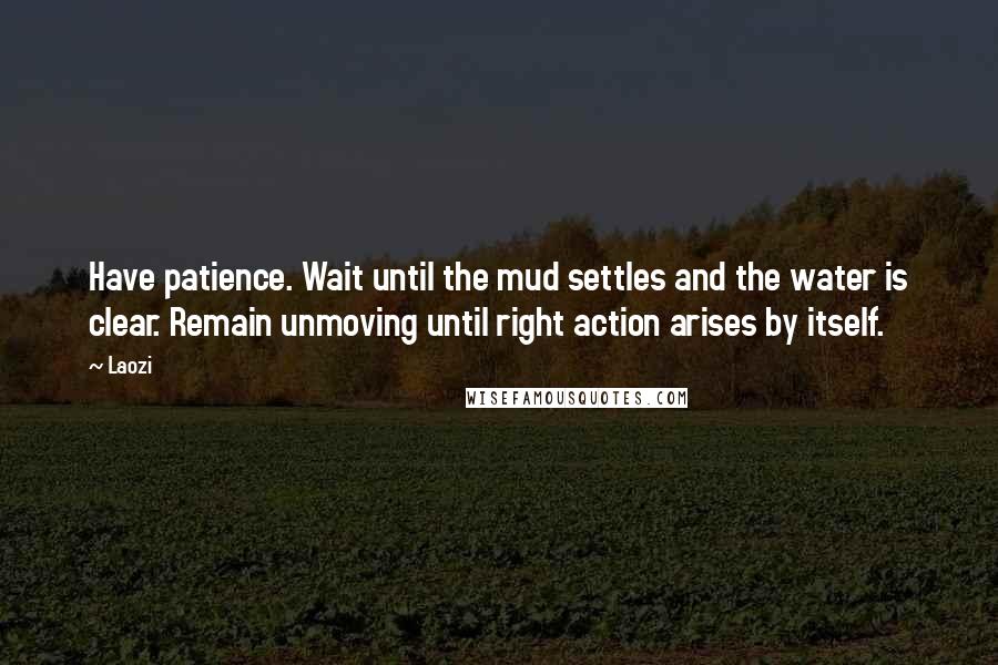 Laozi Quotes: Have patience. Wait until the mud settles and the water is clear. Remain unmoving until right action arises by itself.