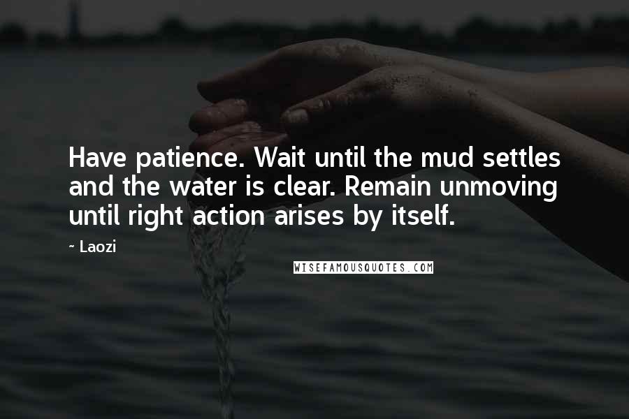 Laozi Quotes: Have patience. Wait until the mud settles and the water is clear. Remain unmoving until right action arises by itself.