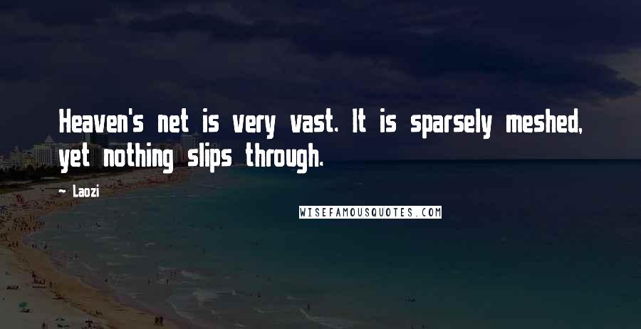 Laozi Quotes: Heaven's net is very vast. It is sparsely meshed, yet nothing slips through.