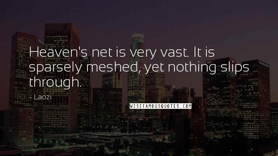 Laozi Quotes: Heaven's net is very vast. It is sparsely meshed, yet nothing slips through.