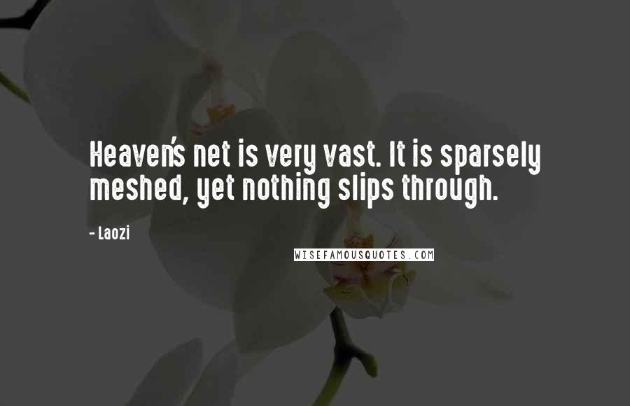 Laozi Quotes: Heaven's net is very vast. It is sparsely meshed, yet nothing slips through.