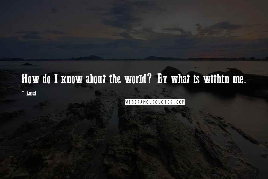 Laozi Quotes: How do I know about the world? By what is within me.