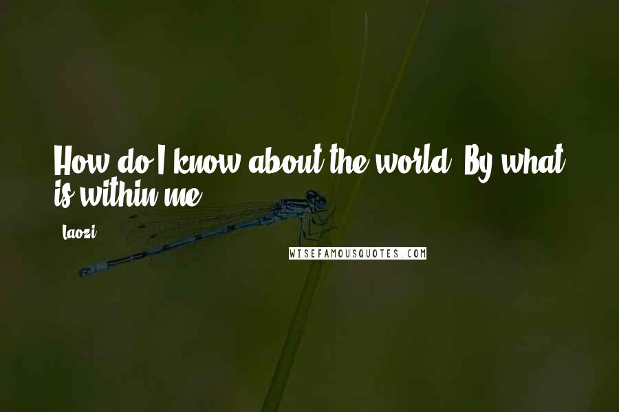 Laozi Quotes: How do I know about the world? By what is within me.