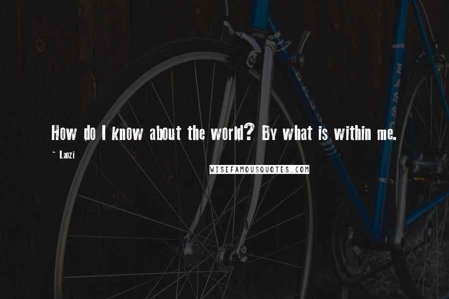 Laozi Quotes: How do I know about the world? By what is within me.