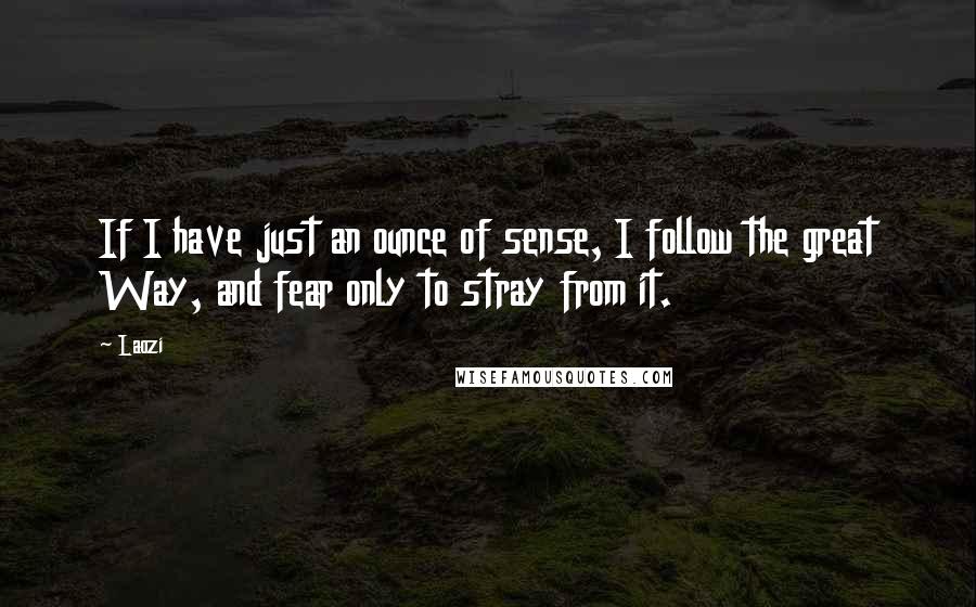 Laozi Quotes: If I have just an ounce of sense, I follow the great Way, and fear only to stray from it.