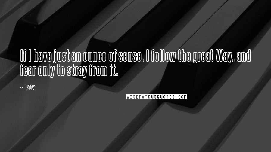 Laozi Quotes: If I have just an ounce of sense, I follow the great Way, and fear only to stray from it.