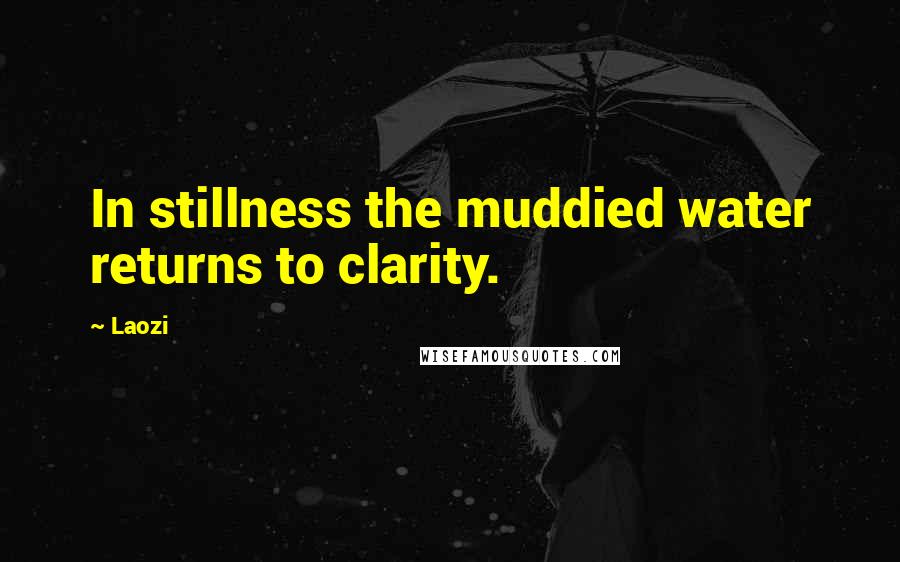 Laozi Quotes: In stillness the muddied water returns to clarity.