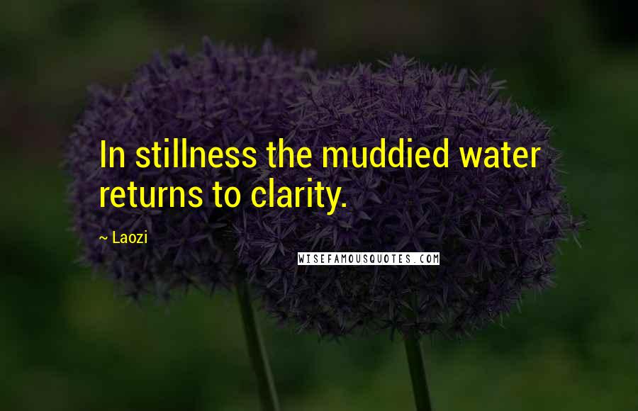 Laozi Quotes: In stillness the muddied water returns to clarity.