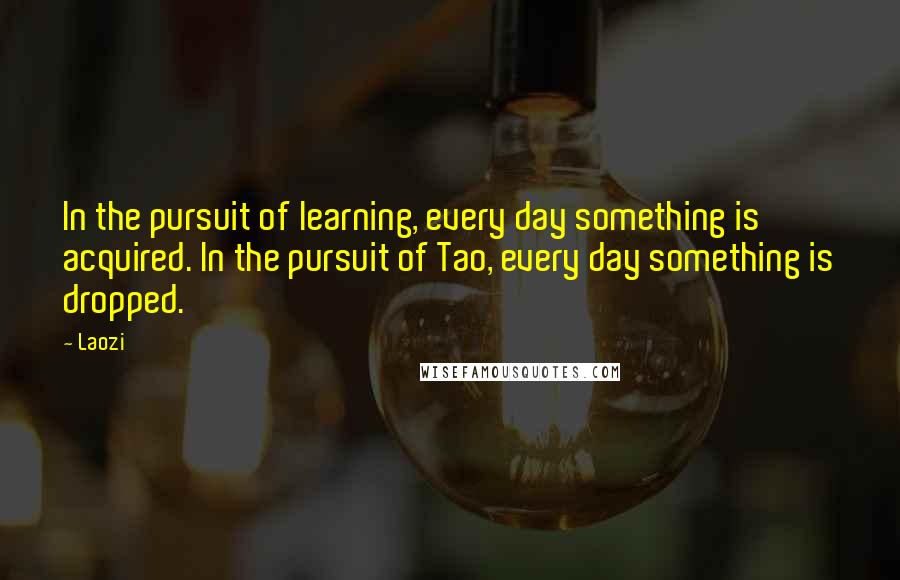 Laozi Quotes: In the pursuit of learning, every day something is acquired. In the pursuit of Tao, every day something is dropped.