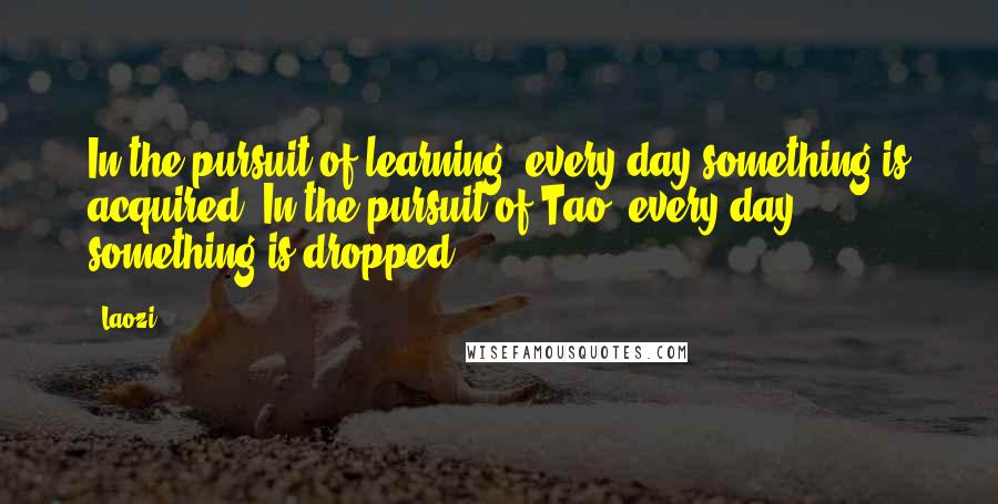 Laozi Quotes: In the pursuit of learning, every day something is acquired. In the pursuit of Tao, every day something is dropped.