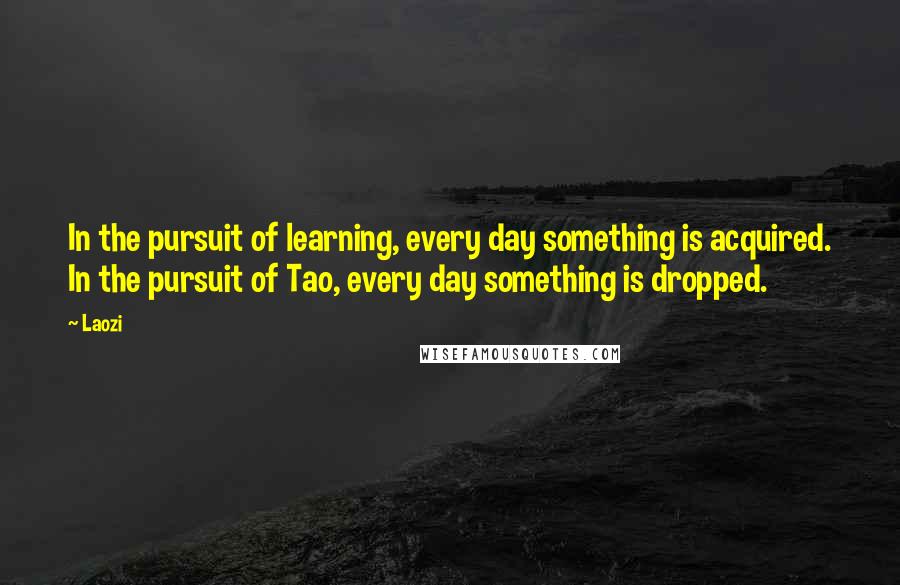 Laozi Quotes: In the pursuit of learning, every day something is acquired. In the pursuit of Tao, every day something is dropped.