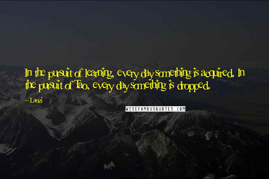 Laozi Quotes: In the pursuit of learning, every day something is acquired. In the pursuit of Tao, every day something is dropped.