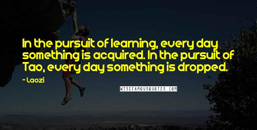 Laozi Quotes: In the pursuit of learning, every day something is acquired. In the pursuit of Tao, every day something is dropped.