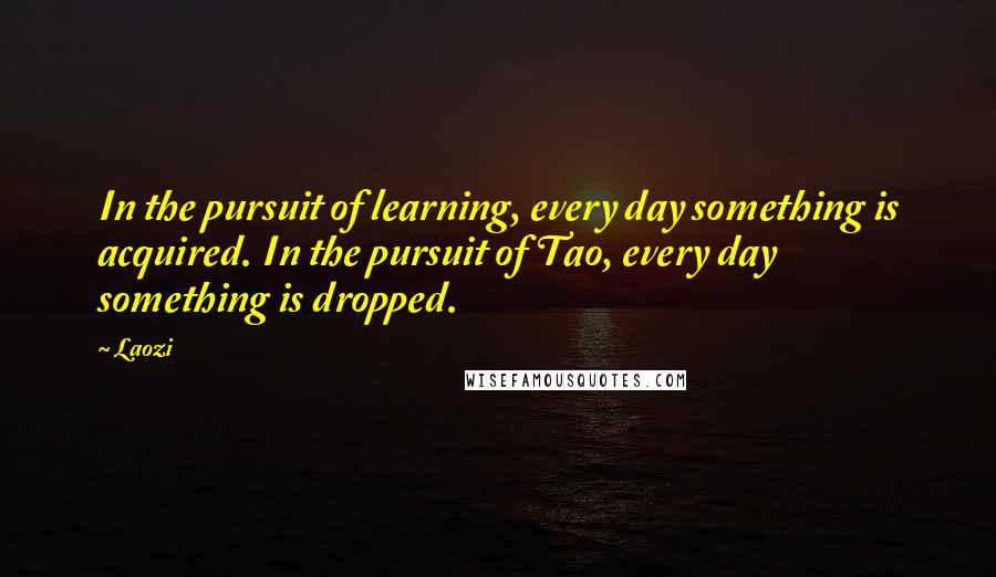 Laozi Quotes: In the pursuit of learning, every day something is acquired. In the pursuit of Tao, every day something is dropped.
