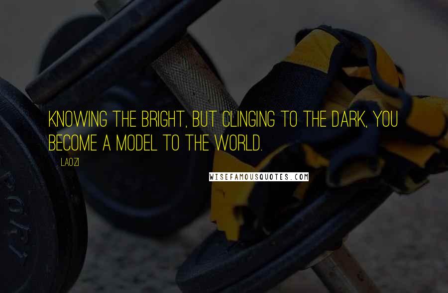 Laozi Quotes: Knowing the bright, but clinging to the dark, you become a model to the world.