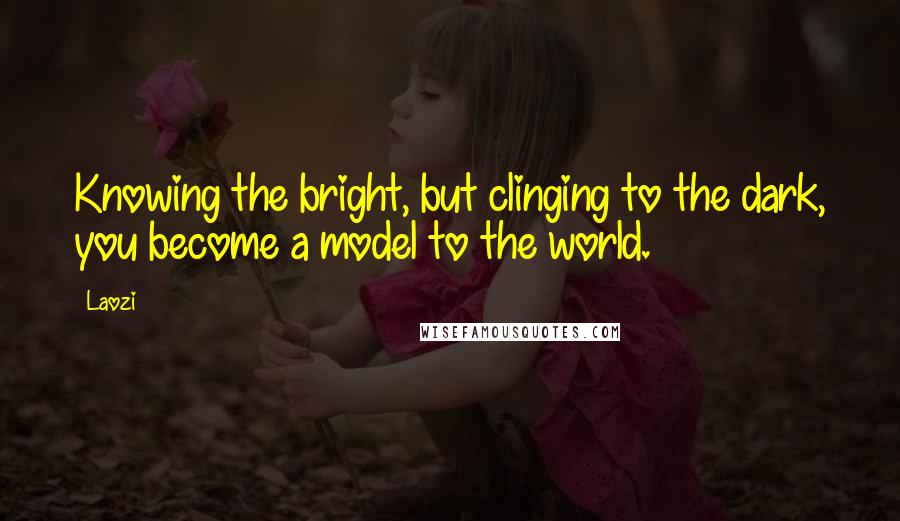 Laozi Quotes: Knowing the bright, but clinging to the dark, you become a model to the world.