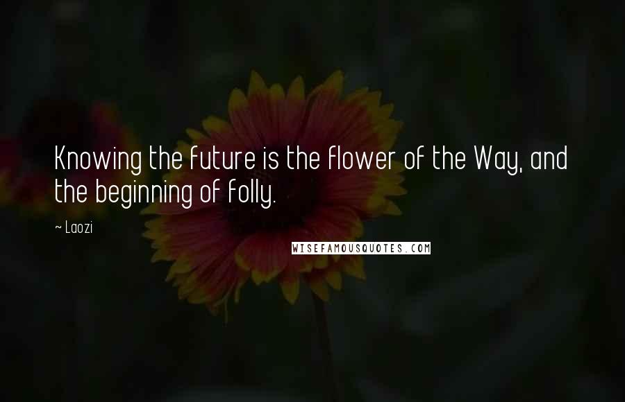 Laozi Quotes: Knowing the future is the flower of the Way, and the beginning of folly.