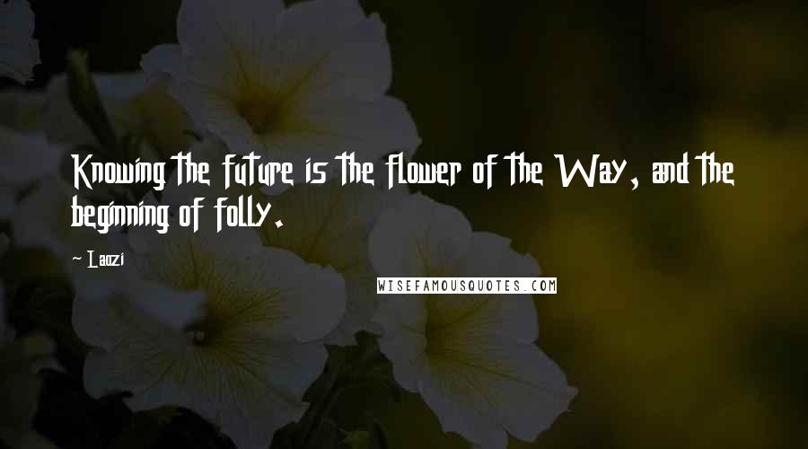 Laozi Quotes: Knowing the future is the flower of the Way, and the beginning of folly.