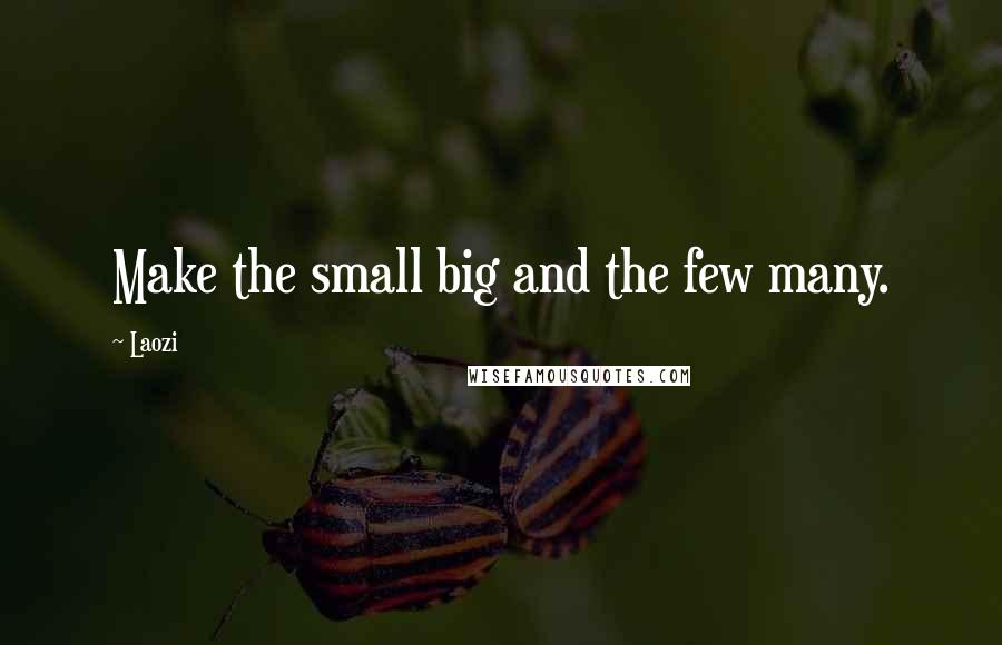 Laozi Quotes: Make the small big and the few many.