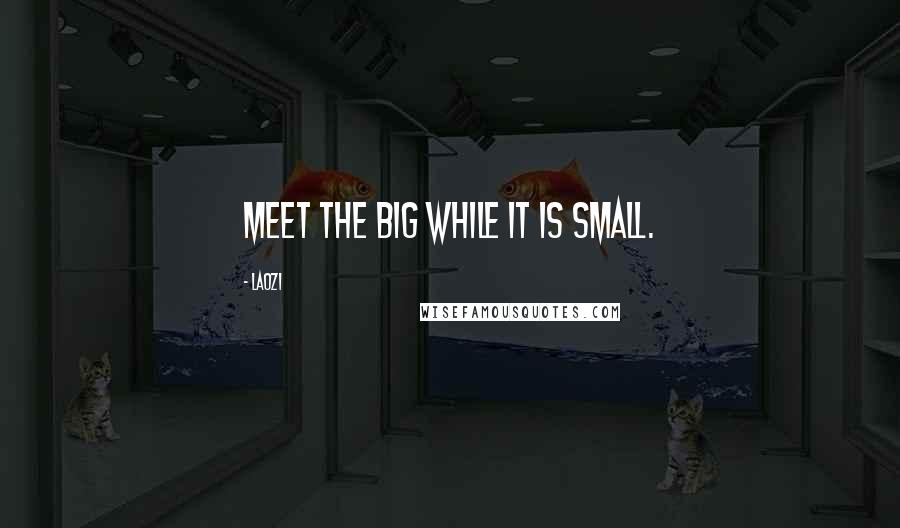 Laozi Quotes: Meet the big while it is small.