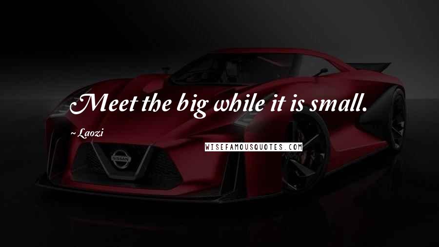 Laozi Quotes: Meet the big while it is small.