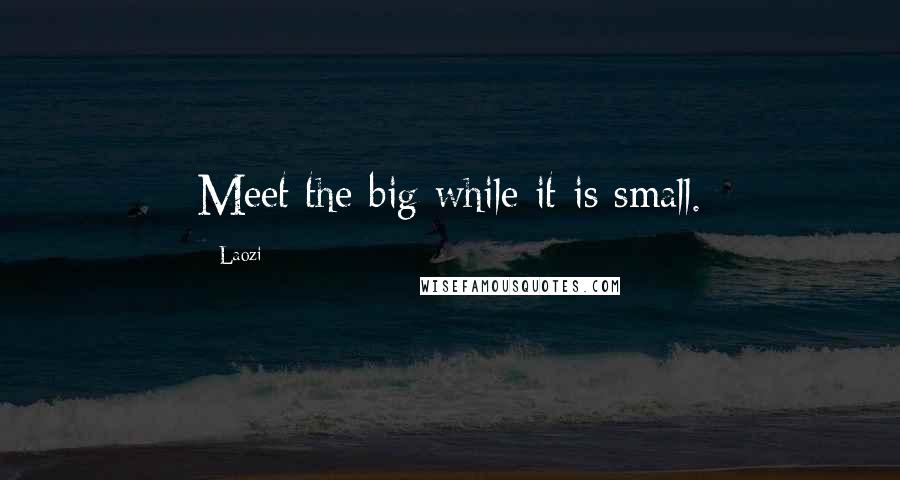 Laozi Quotes: Meet the big while it is small.