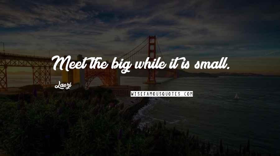 Laozi Quotes: Meet the big while it is small.