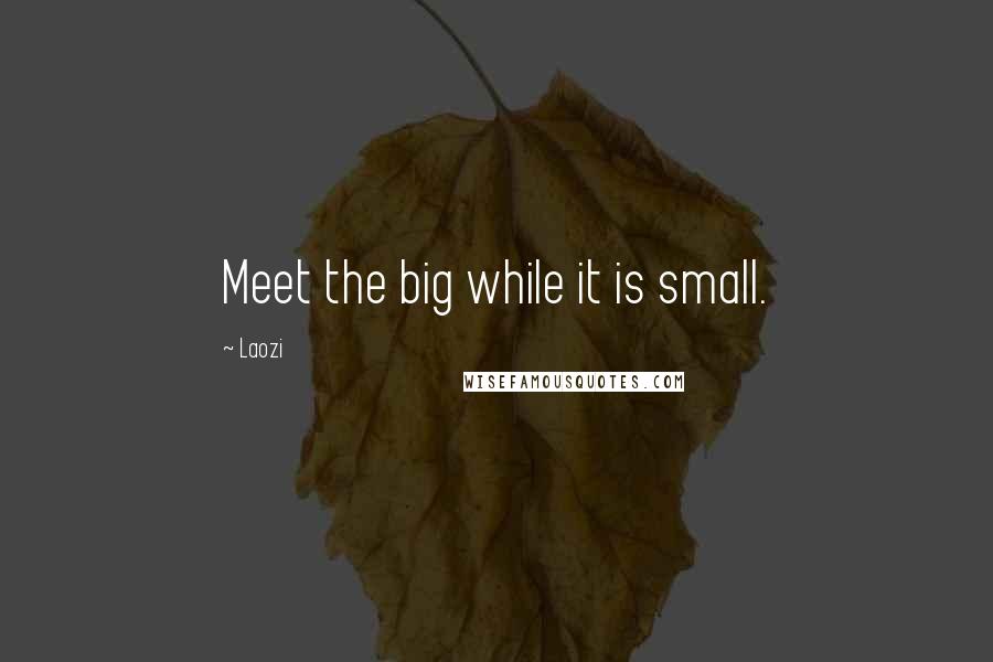 Laozi Quotes: Meet the big while it is small.