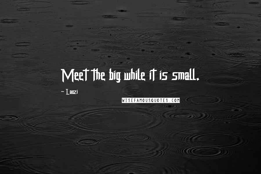 Laozi Quotes: Meet the big while it is small.