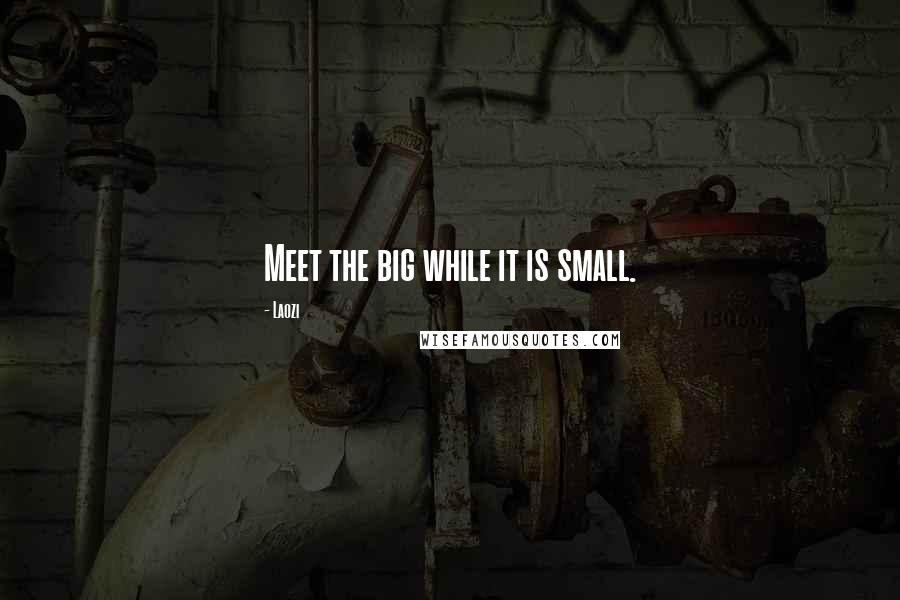 Laozi Quotes: Meet the big while it is small.