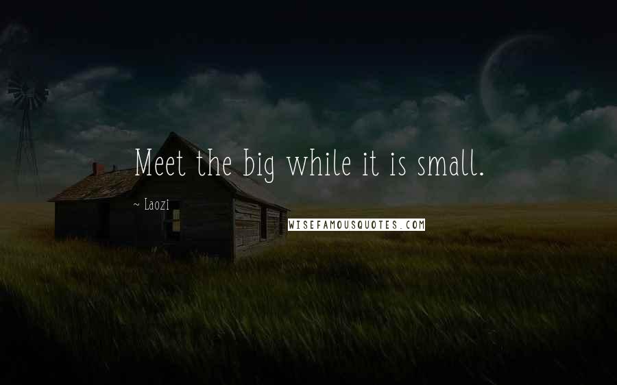 Laozi Quotes: Meet the big while it is small.