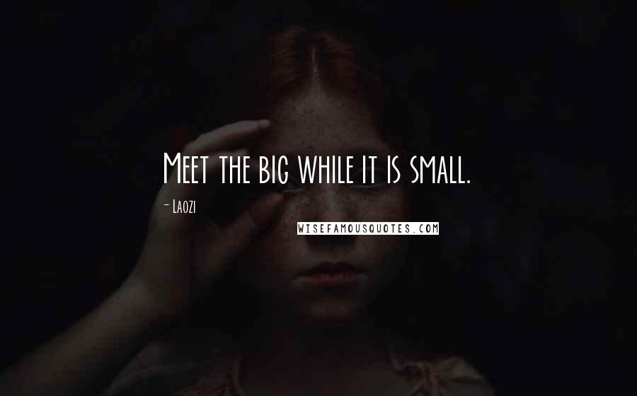 Laozi Quotes: Meet the big while it is small.