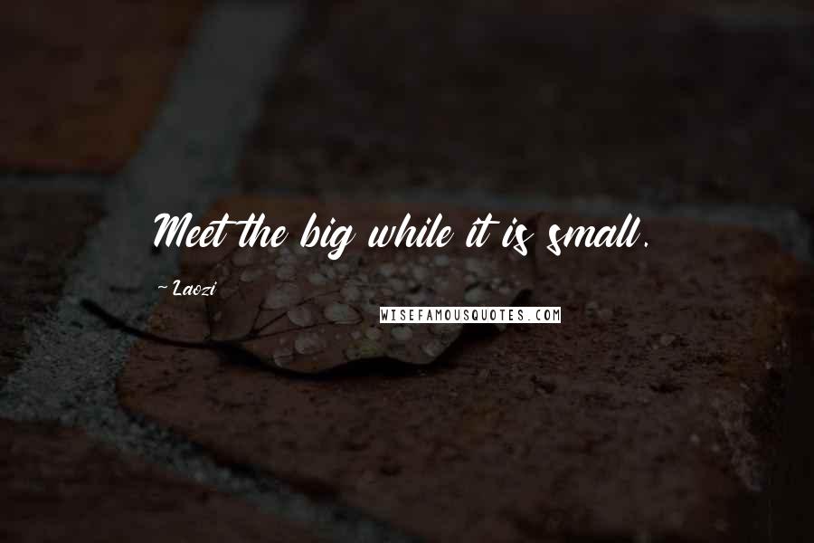 Laozi Quotes: Meet the big while it is small.