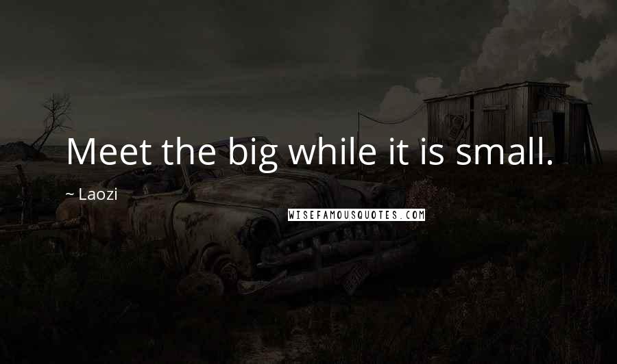 Laozi Quotes: Meet the big while it is small.