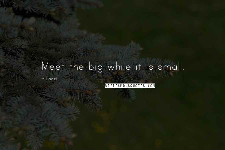Laozi Quotes: Meet the big while it is small.