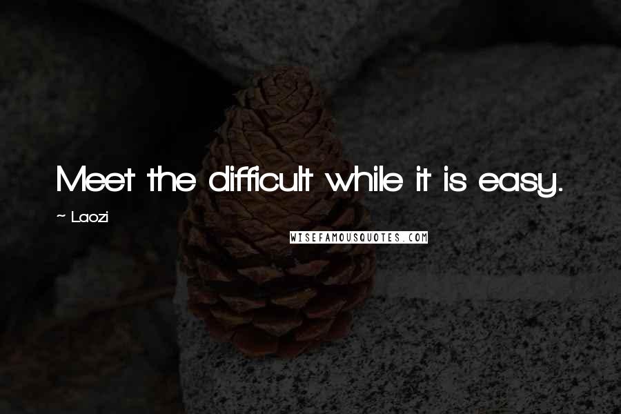 Laozi Quotes: Meet the difficult while it is easy.