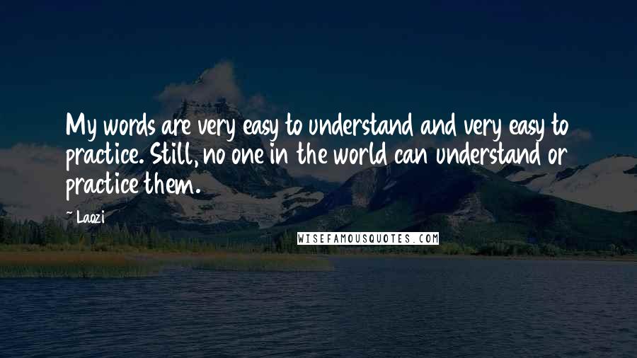 Laozi Quotes: My words are very easy to understand and very easy to practice. Still, no one in the world can understand or practice them.